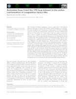 Ivins, Phillips & Barker, Chartered Washington, DC Office