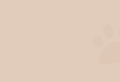 Boston Dog Lawyers Swampscott,  Office