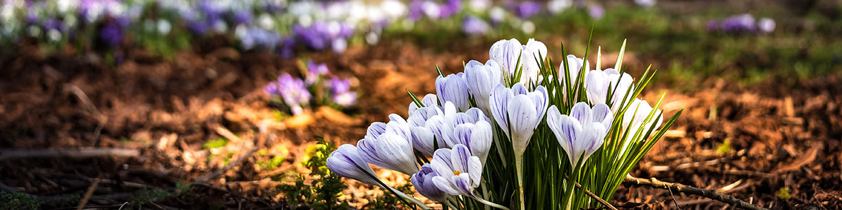 Tyroler Leonard Injury Law Oakdale,  Office