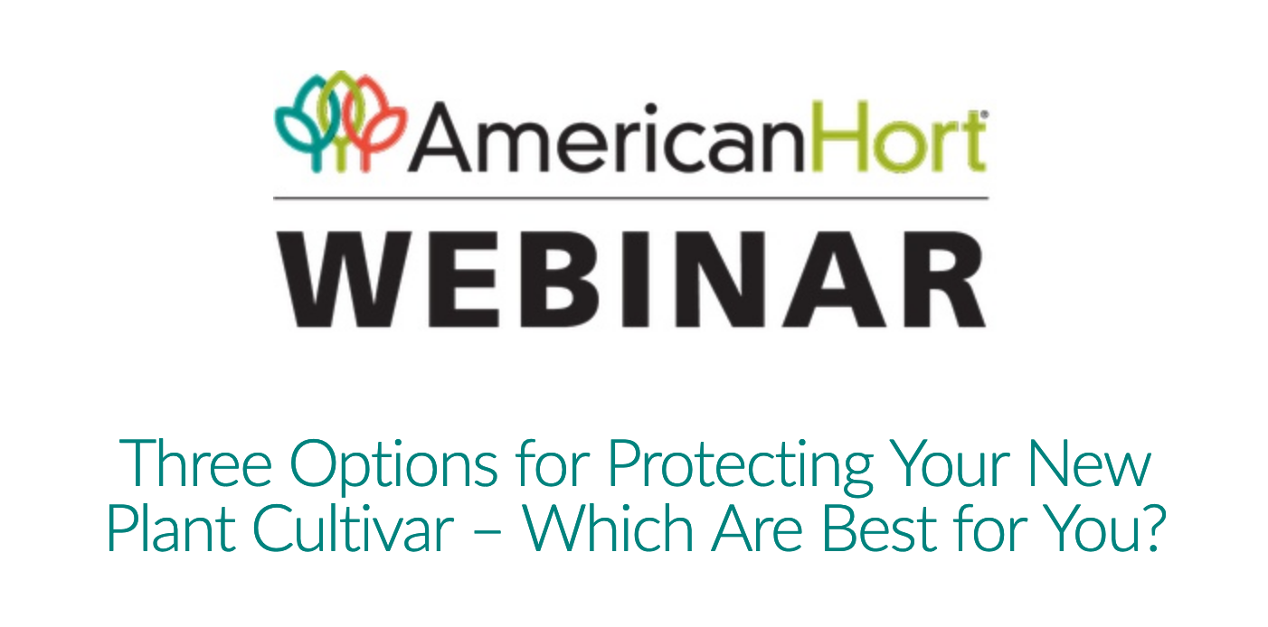 Panitch Schwarze Belisario & Nadel LLP Wilmington, DE Office