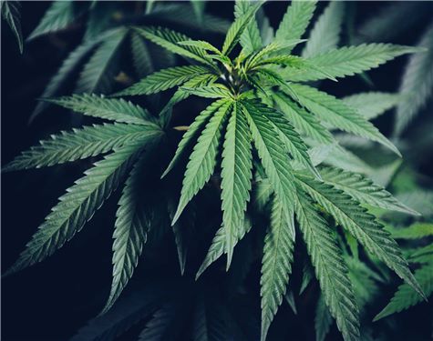 Dentons Saint Michael, Barbados Office