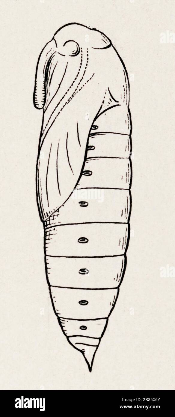 Dentons Manama, Bahrain Office