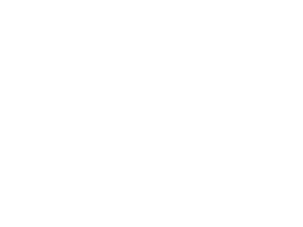 Wendy A. Craig, P.A Black Mountain, NC Office