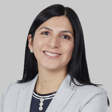 Payet, Rey, Cauvi, Perez Abogados Lima, Peru Office