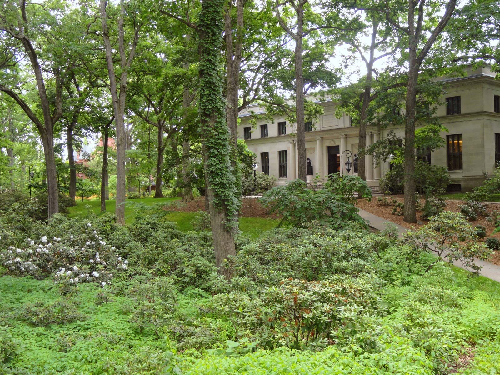 Clapp Family Law Wellesley,  Office