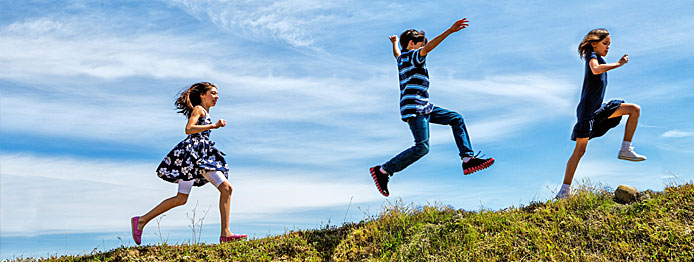 Hammons & Baldino LLP Torrance, CA Office