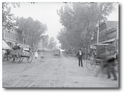 Miller Cohen Peterson Young P.C Longmont,  Office