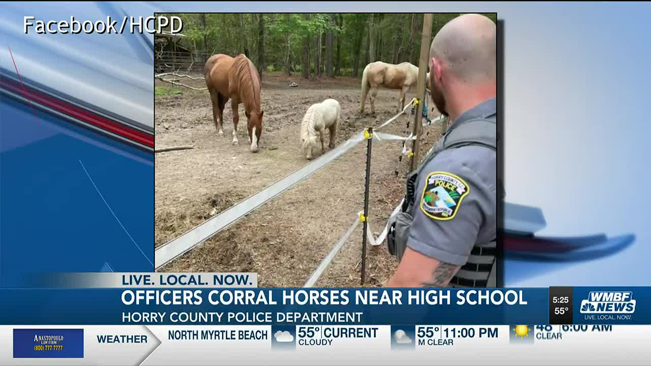 Anastopoulo Law Firm Myrtle Beach, SC Office