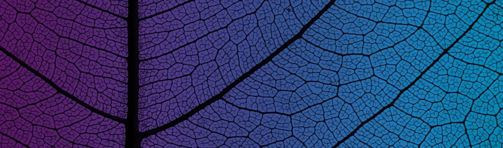 Dentons Kensington Swan Auckland, New Zealand Office