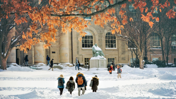 Timm & Garfinkel LLC Deerfield, IL Office