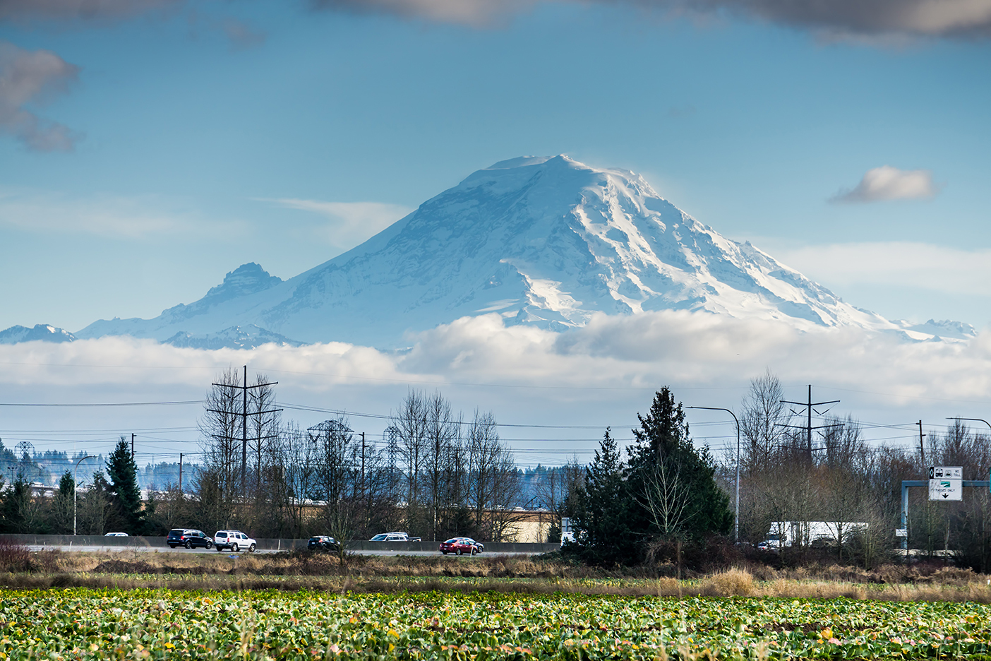 Rich Immigration PC Auburn,  Office