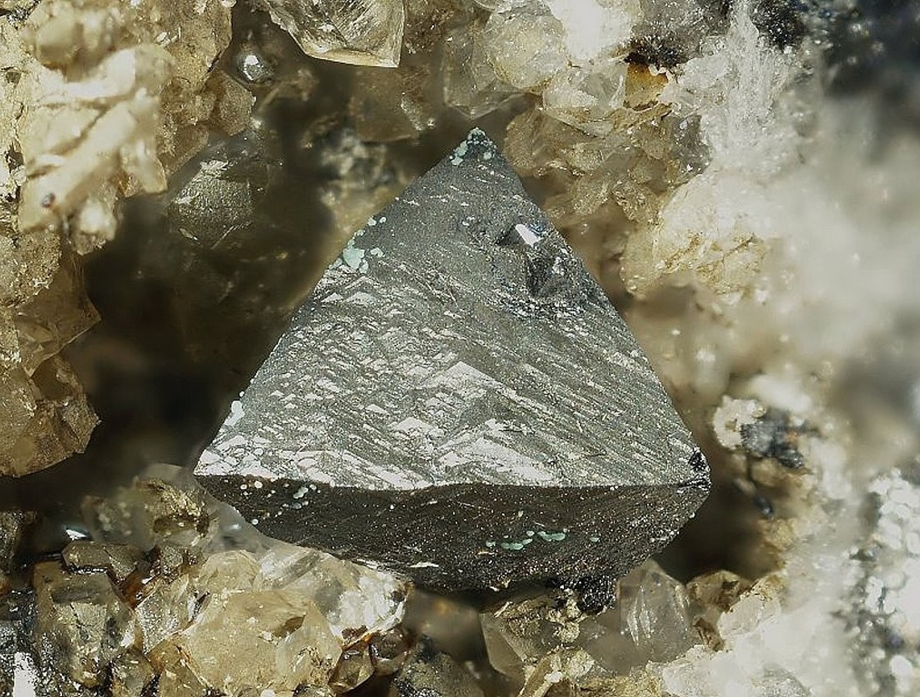 Espino Nieto & Asociados El Salvador Office