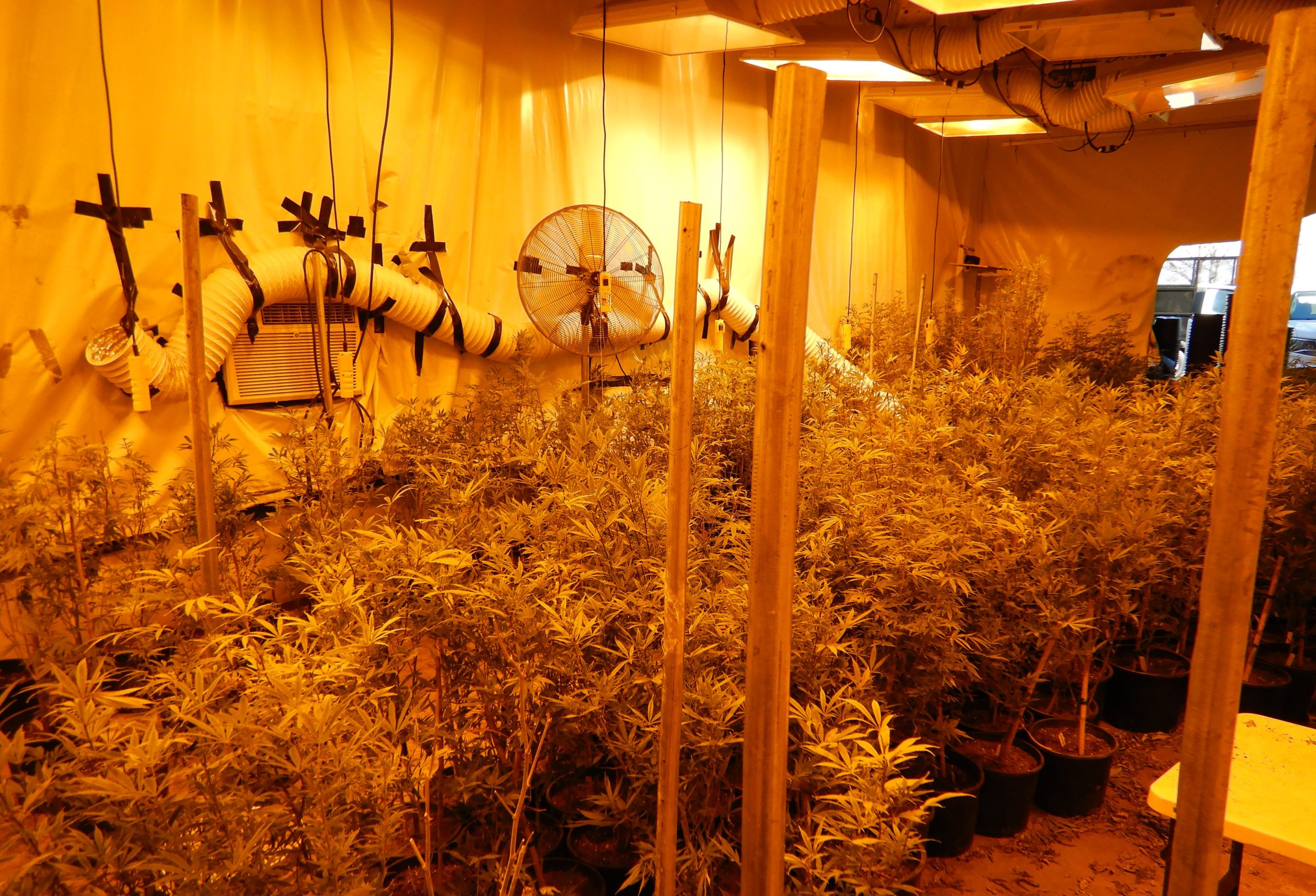 Ogden & Fricks, L.L.P San Luis Obispo, CA Office