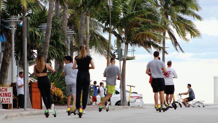 Fenstersheib Law Group, P.A Sarasota, FL Office