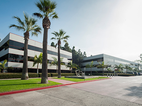 Provinziano & Associates Torrance, CA Office
