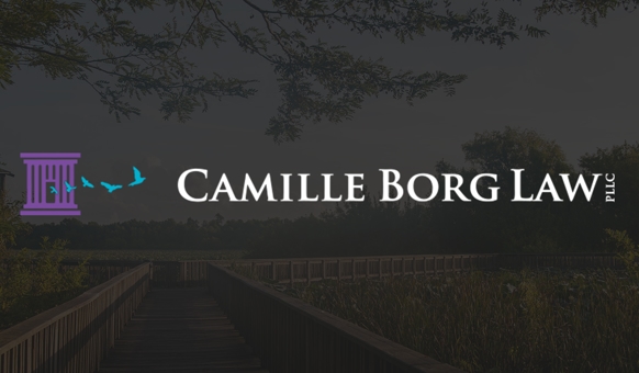 Camille Borg Law PLLC Plano,  Office