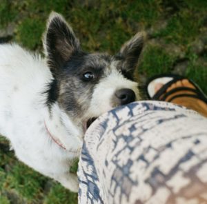 Spaulding Injury Law Atlanta, GA Office