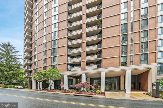 Lacki & Company, LLC Chevy Chase,  Office