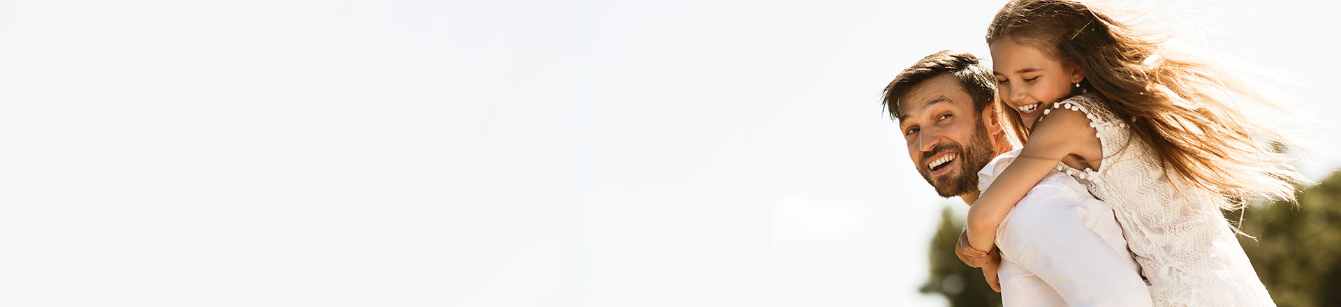 SeegLaw LLC Lehi,  Office