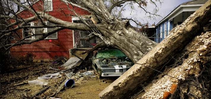 Malik Law PA Maitland,  Office