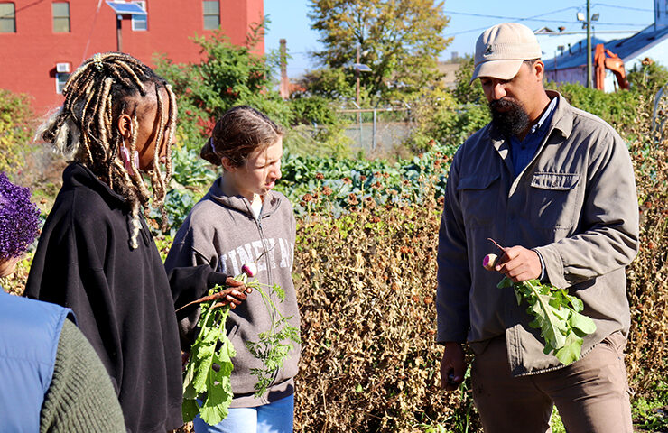 Ilene Young Law Offices Langhorne,  Office