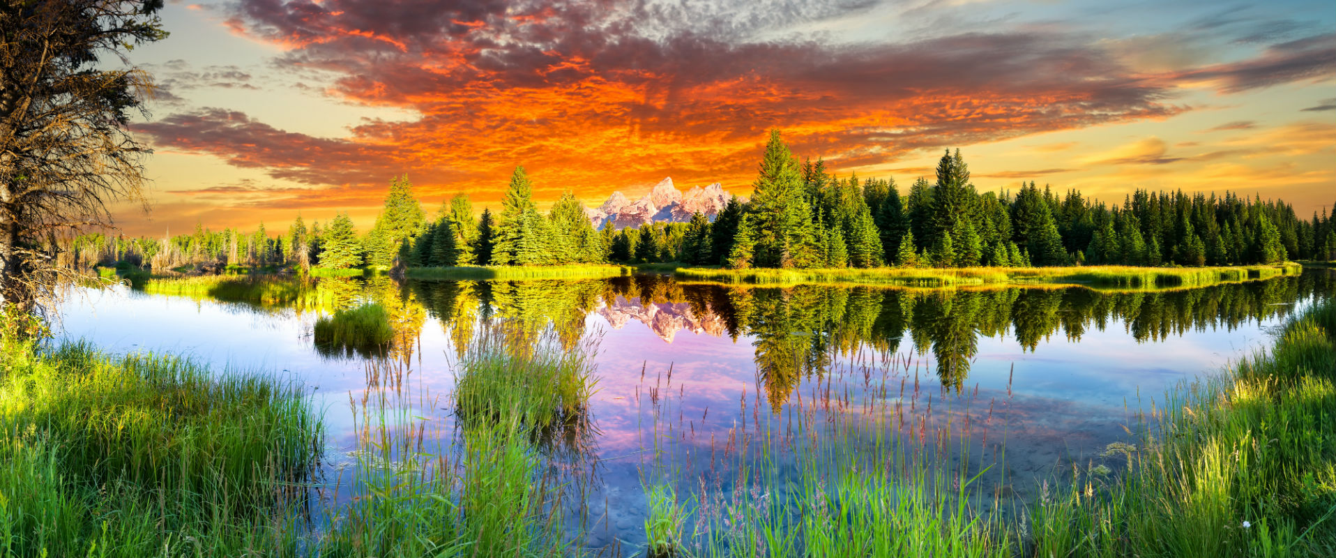 Markus Williams Young & Hunsicker LLC Cheyenne, WY Office