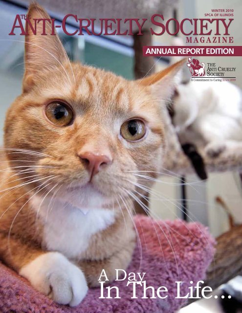 Marino, Tortorella & Boyle, P.C Chicago, IL Office