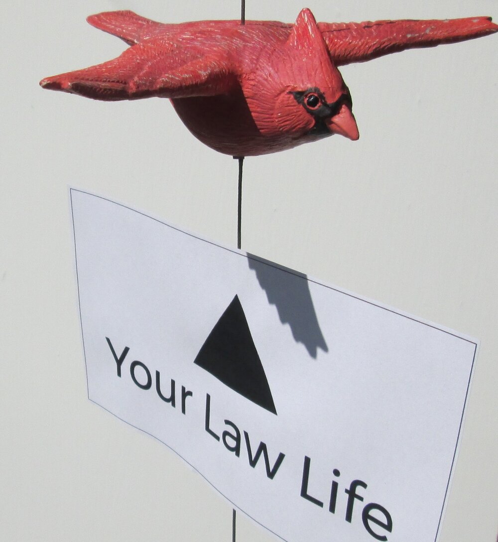 Fletcher, Tydings, Williams-Tracy & Gott Charlotte,  Office