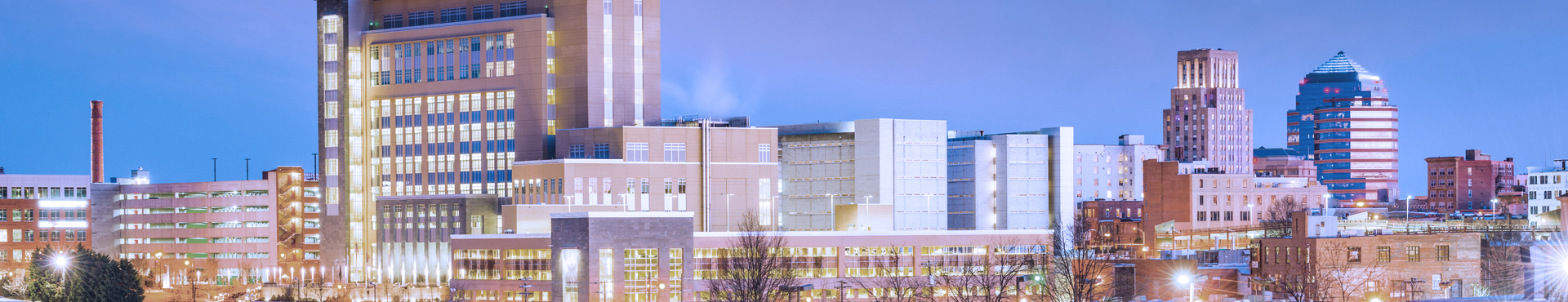 Womble Bond Dickinson Research Triangle Park, United States Office