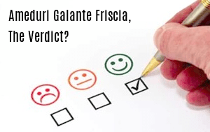 Ameduri Galante & Friscia New York City, NY Office