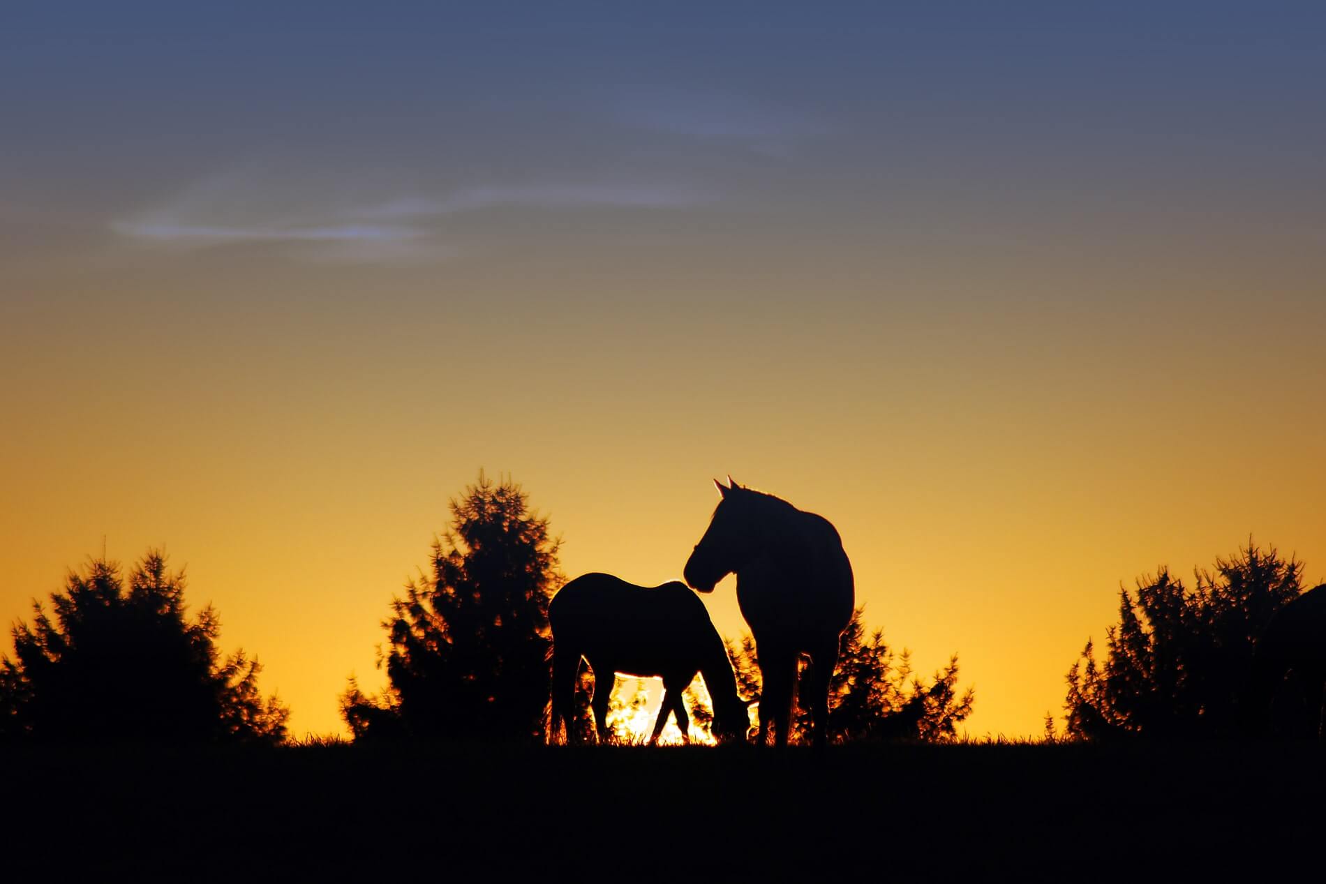 Casey Bailey & Maines PLLC Lexington, KY Office