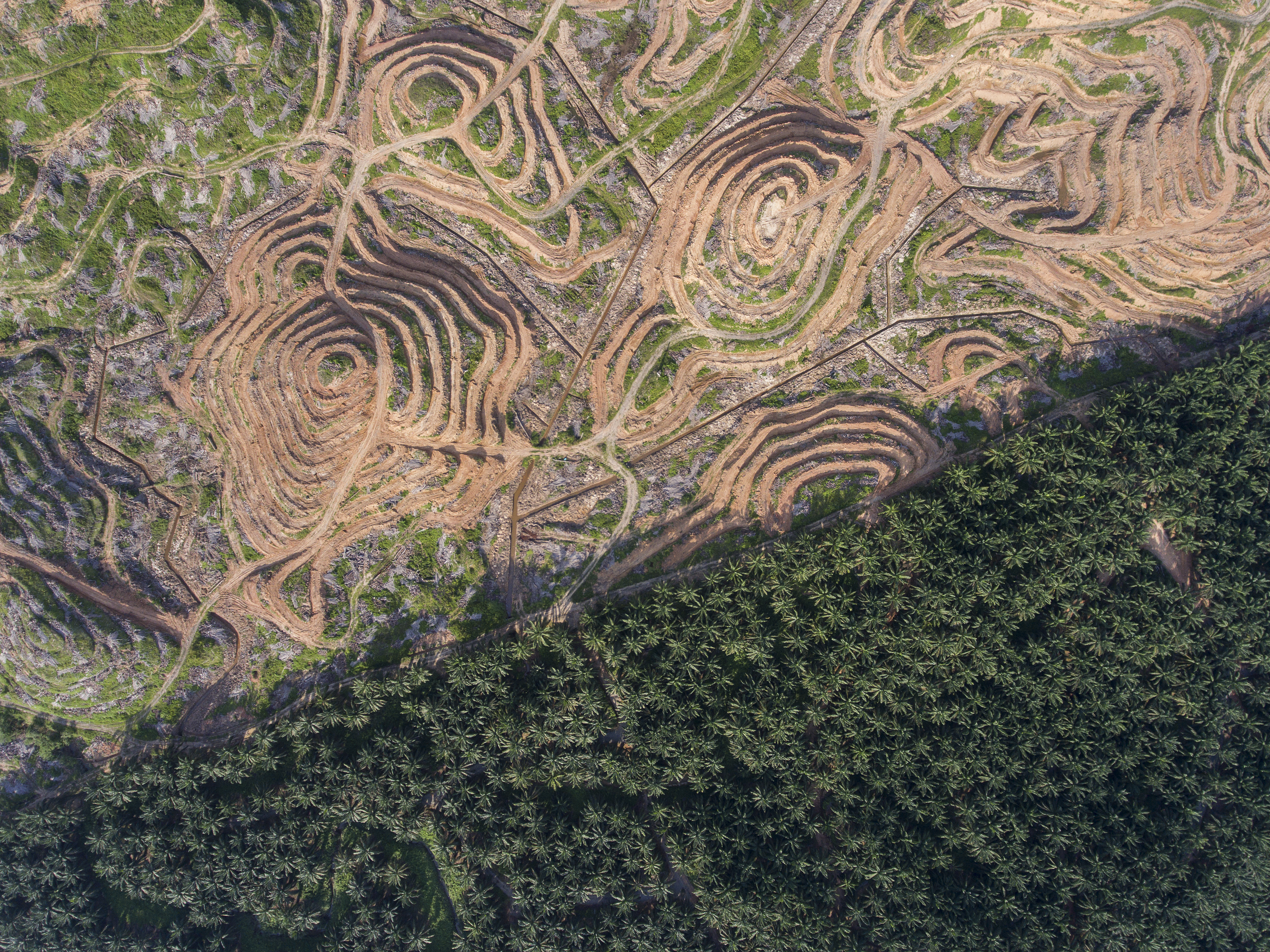 Tarter Krinsky & Drogin LLP New York City, NY Office