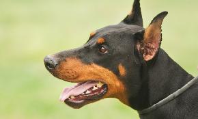 Haymond Law Firm Boston, MA Office