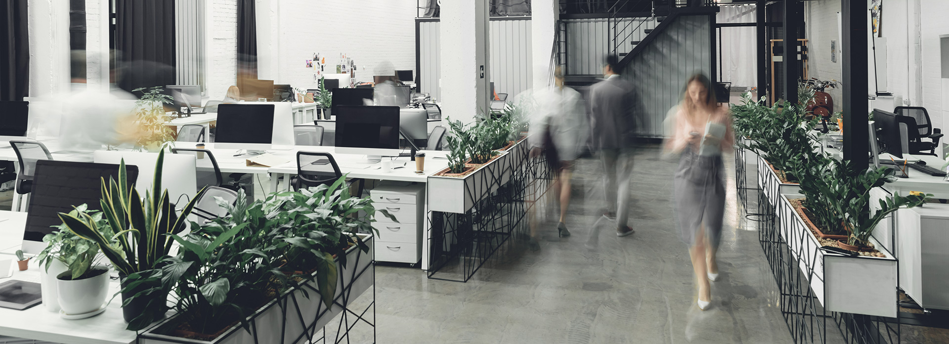 Castren & Snellman Attorneys Ltd Saint Petersburg, Russia Office