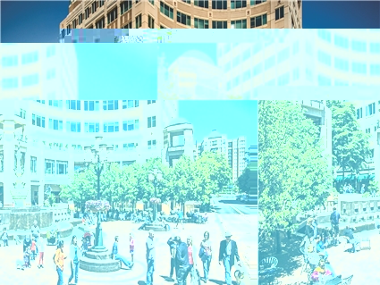 Dain, Walker, Sobhani & Nicoli PLLC Reston, VA Office