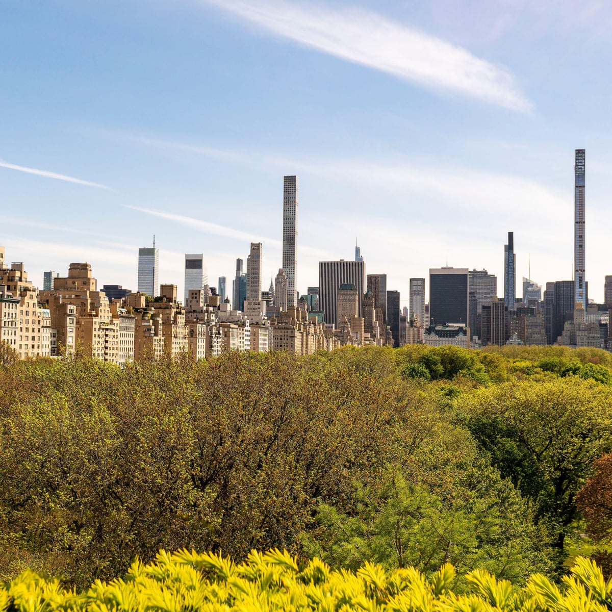 Levine & Blit, PLLC Brooklyn, NY Office