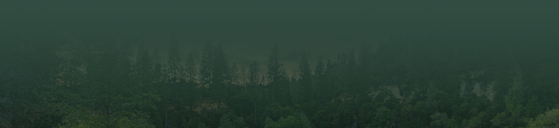 Berkich Lucey Law Group Carson City,  Office