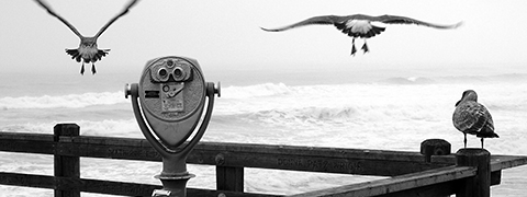 LaBletta & Walters LLC Conshohocken,  Office