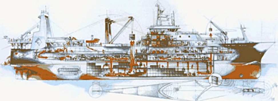 Mundt MacGregor L.L.P Seattle, WA Office