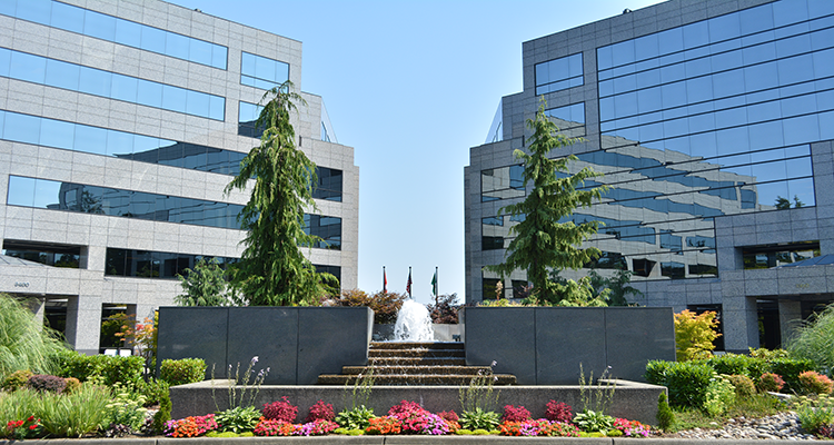 Curtis, Casteel & Palmer, PLLC Lynnwood,  Office