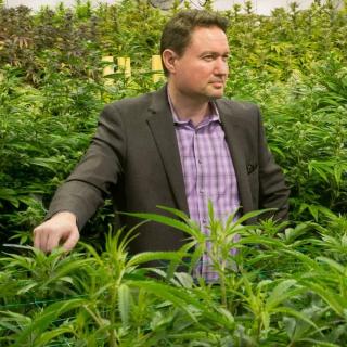 The Meehan Law Firm (1-800-NoCuffs) Needles, CA Office