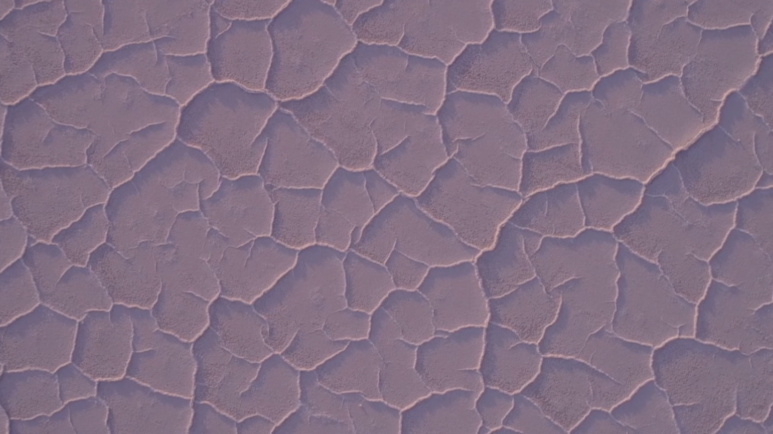 Kimball Anderson Salt Lake City,  Office