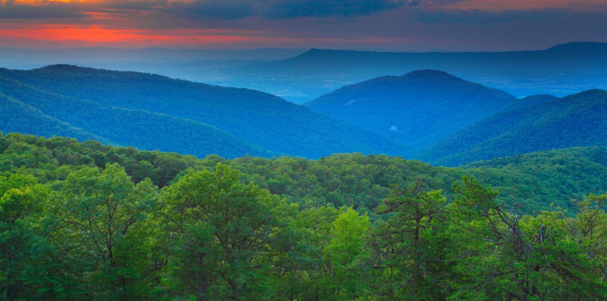 The Law Offices of Terry Lynn PLLC Earlysville, VA Office