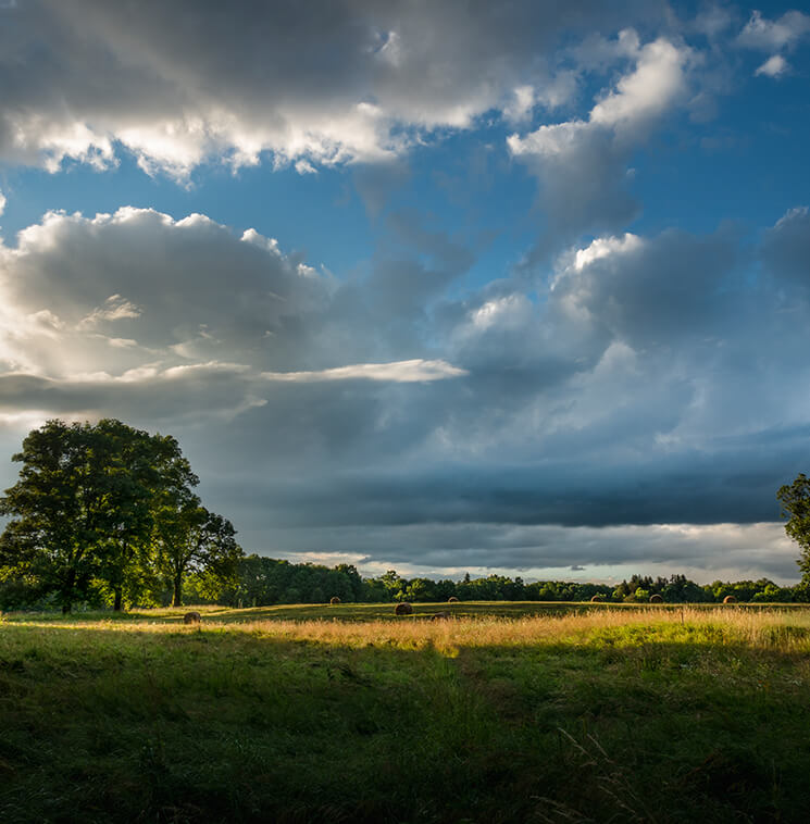 McLaughlin & Stern, LLP Millbrook, NY Office