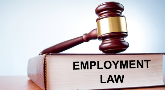 Schauman & Hubins, Attorneys At Law Pleasanton, CA Office