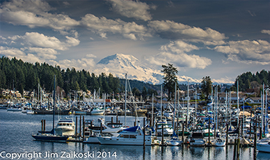 Ortiz & Gosalia, PLLC Redmond,  Office