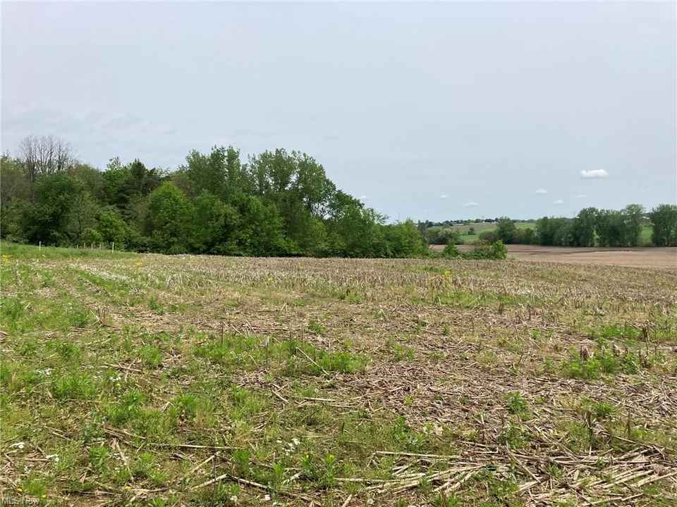 Arnold & Associates, Ltd Uniontown,  Office