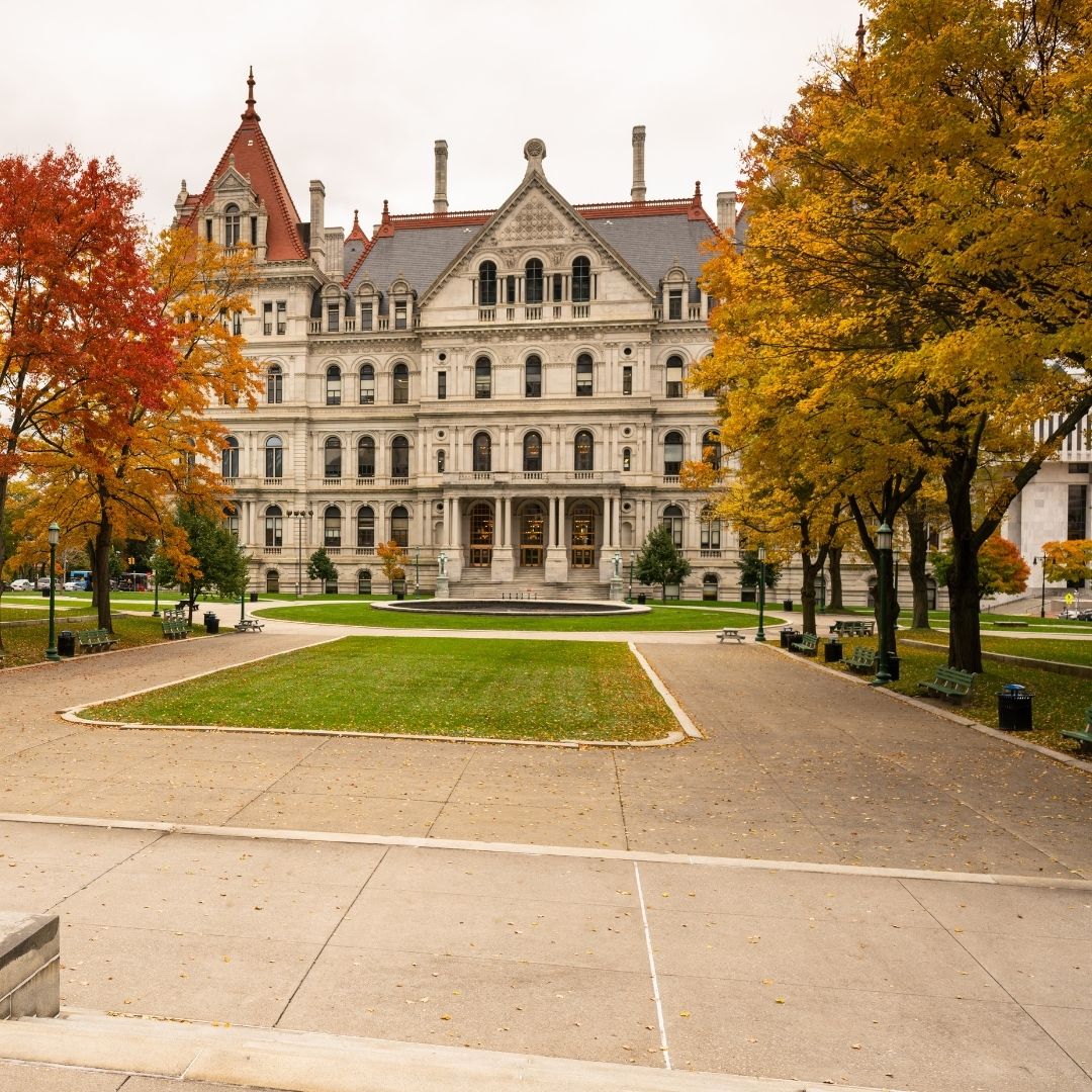 Pitta LLP Albany, NY Office