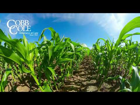 Cobb Cole Daytona Beach, FL Office