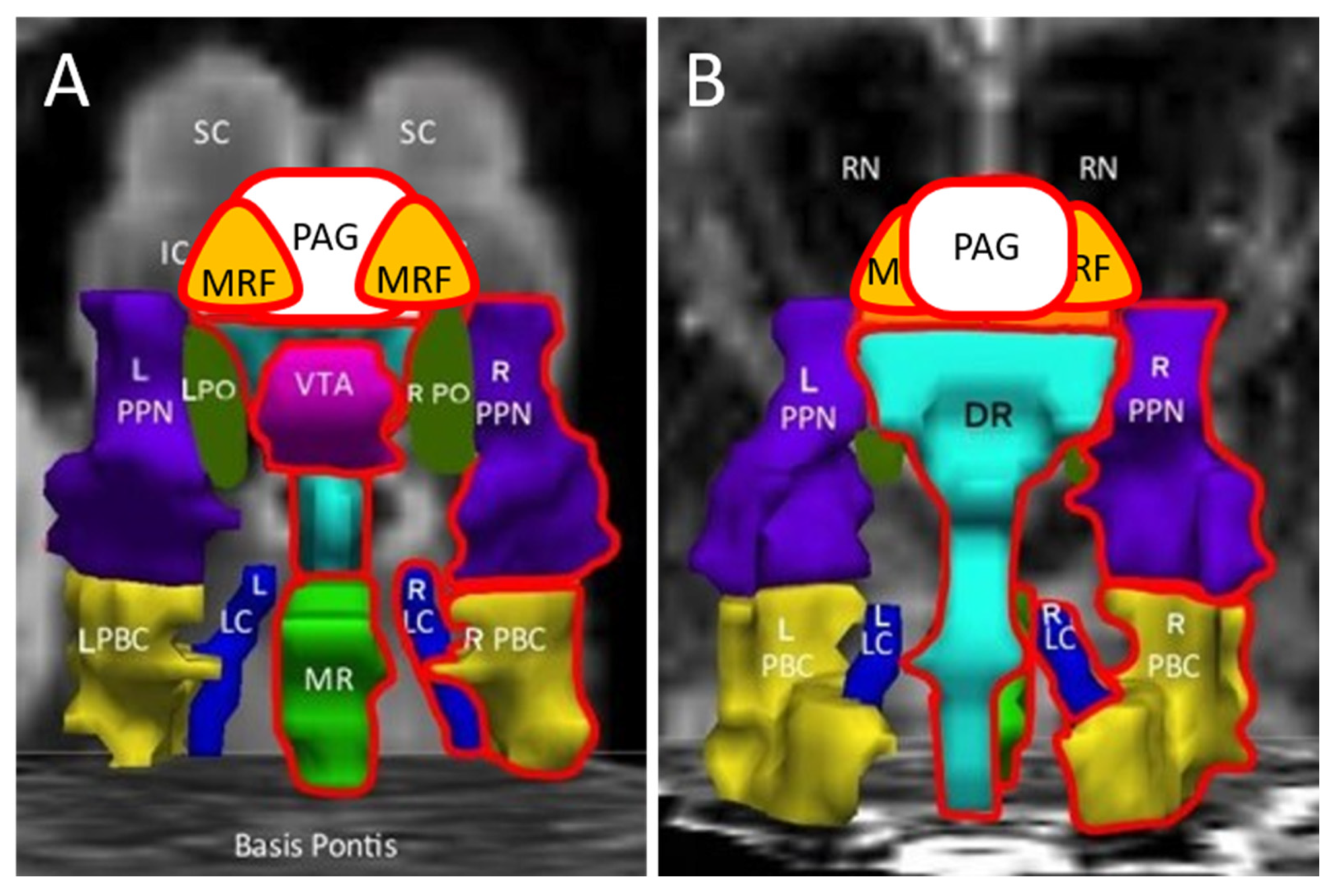 Margolis Bloom & DAgostino Framingham, MA Office